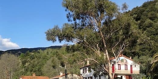 T2 N°1, Gites du Camps de Las Basses